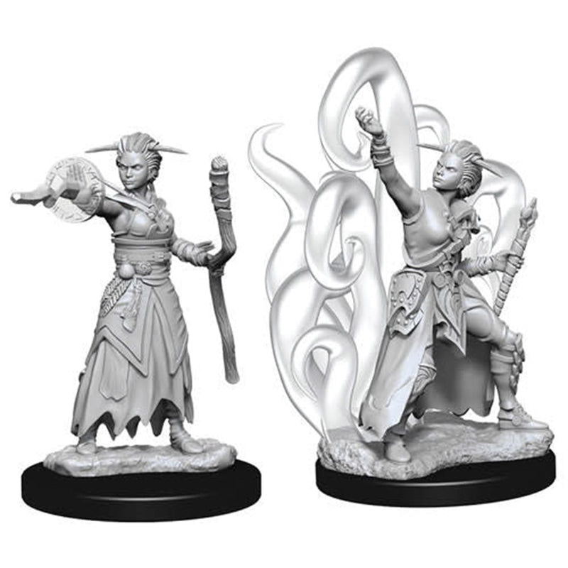 Human Female Warlock | Nolzur's Marvelous Unpainted Miniatures