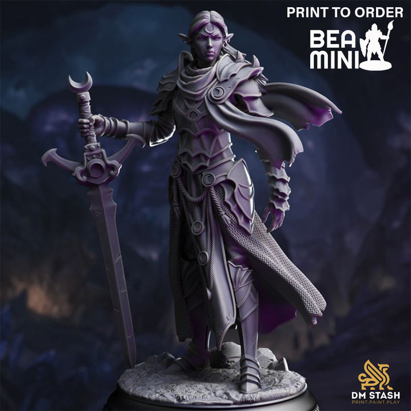 Ilnia Vasrith - Drow Paladin | BeaMini Print to Order Miniatures