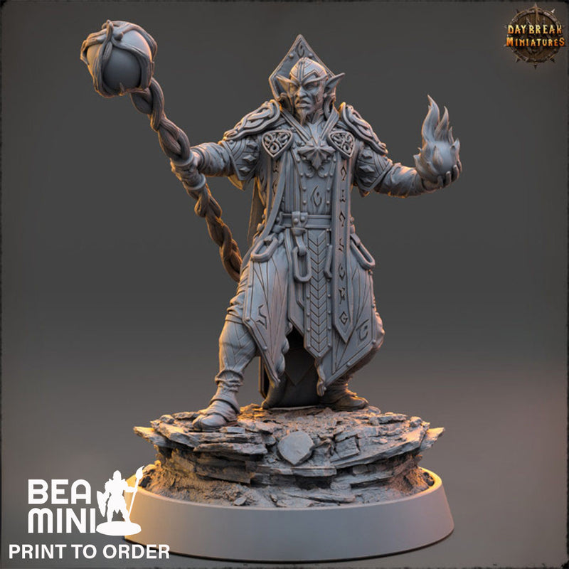 Soone Thaar - Elven Wizard | BeaMini Print to Order Miniatures