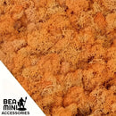 Bea Mini Basing Flock - Shrub Sponge (Orange)