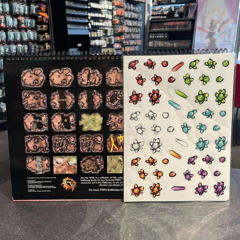 Into the Wilds Battlemap Books - Caves & Caverns