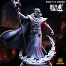 Vampire Blood Mage - Renard the Black Hearted | BeaMini Print to Order Miniatures