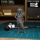 Curse of Strahd - Angelica Martikova | BeaMini Print to Order Miniatures