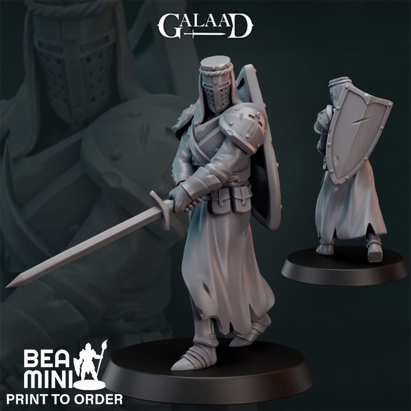 Human Paladin 03  | BeaMini Print to Order Miniatures
