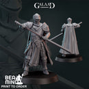 Human Paladin 02  | BeaMini Print to Order Miniatures