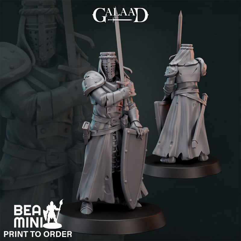 Human Paladin 05  | BeaMini Print to Order Miniatures