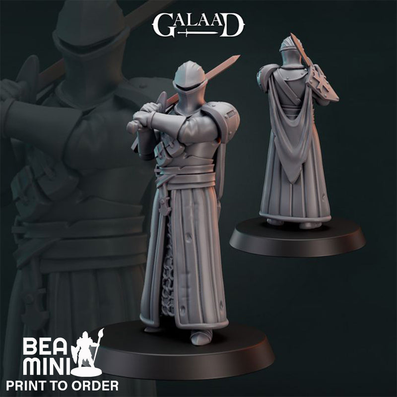 Human Paladin 06 | BeaMini Print to Order Miniatures