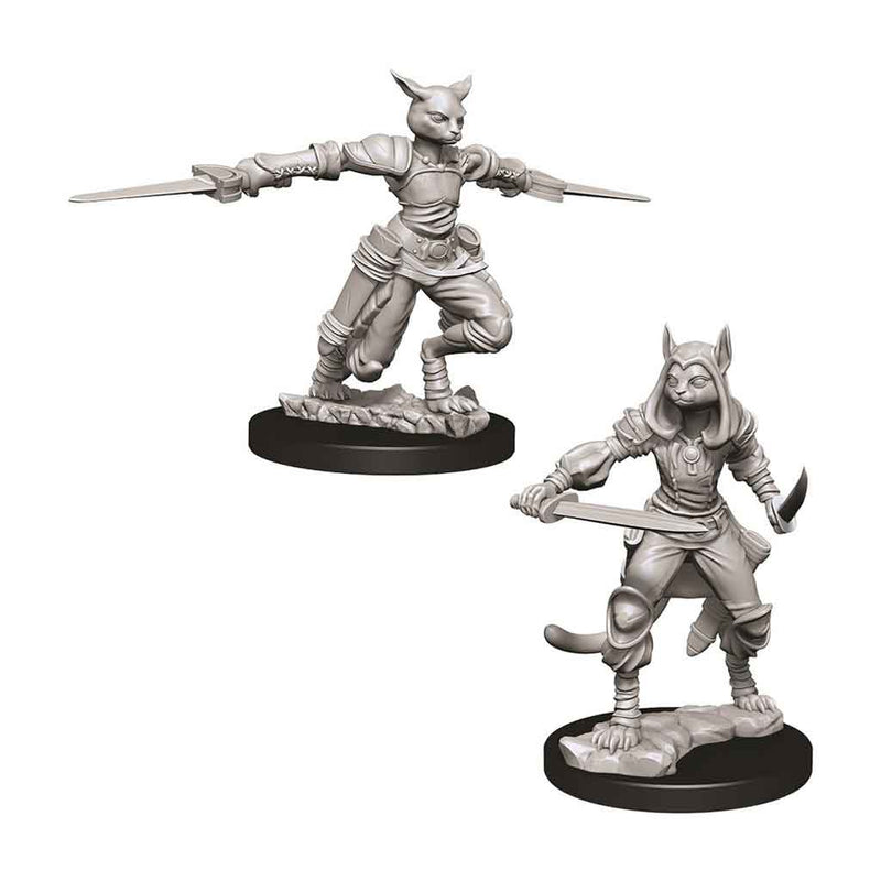 Tabaxi Rogue (Female) Nolzur's Marvelous Unpainted Miniatures - Bea DnD Games